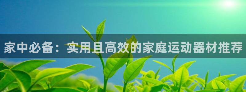 意昂体育5(KGAME)招商电话号码查询：家中必备：实用且高