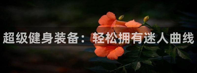 意昂平台体育：超级健身装备：轻松拥有迷人曲线