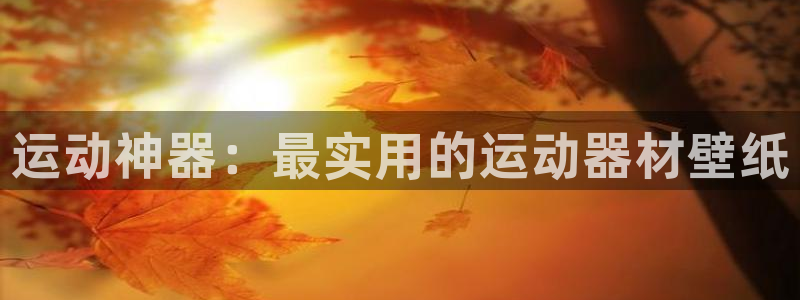 意昂体育5(KGAME)：运动神器：最实用的运动器材壁纸