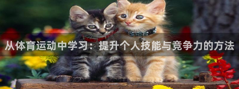 oety欧亿