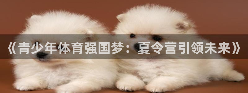 oety欧亿