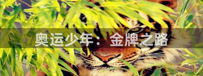 oety欧亿