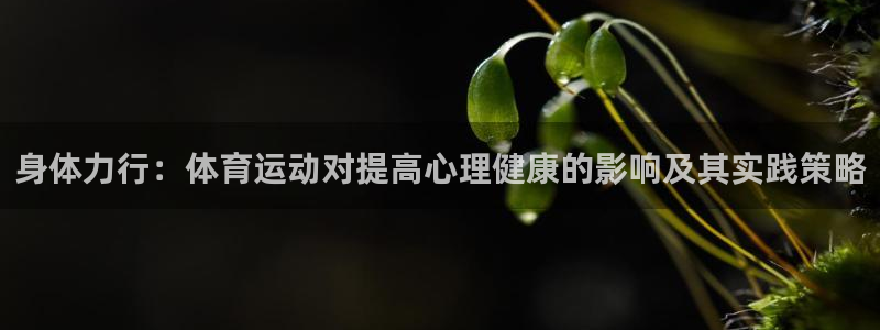 oety欧亿