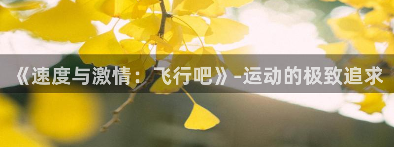 oety欧亿