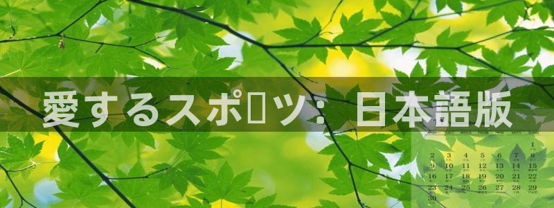 oety欧亿