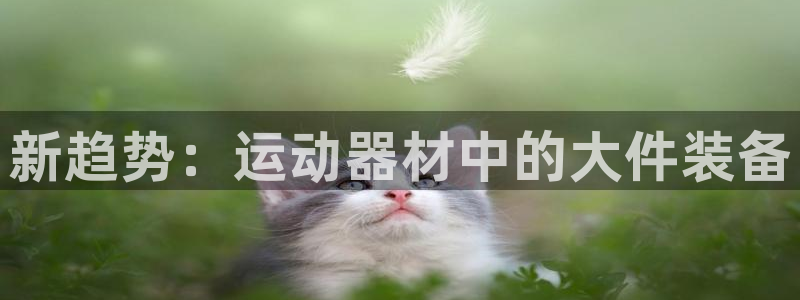 意昂5(KGAME)开户