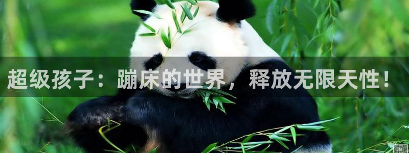 意昂体育5(KGAME)平台假的吗是真的吗：超级孩子：蹦床的